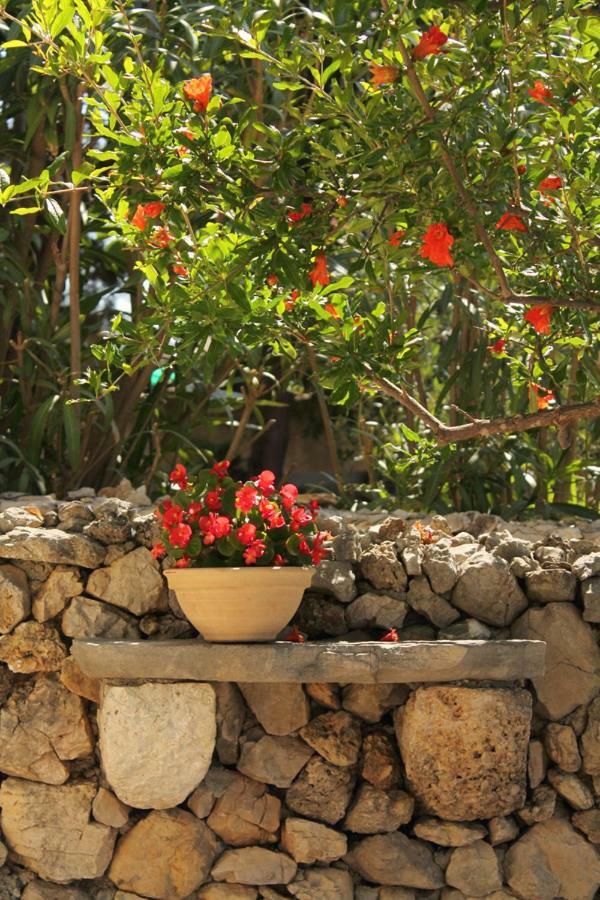 Apartments Nejasmic - Little House For Peaceful And Domestic Vacation Μπολ Εξωτερικό φωτογραφία