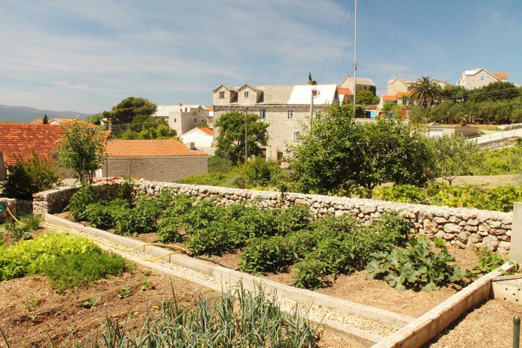 Apartments Nejasmic - Little House For Peaceful And Domestic Vacation Μπολ Εξωτερικό φωτογραφία